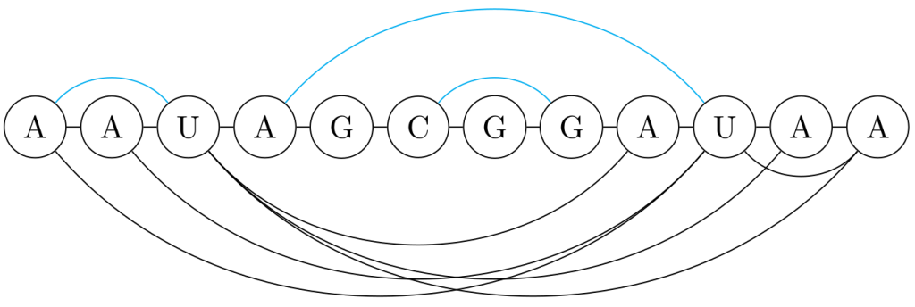 An example of planarization. In blue the arcs preserved by the planarization, in black the arcs removed by the planarization.